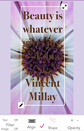 North Fork Now - slider